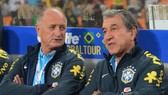 HLV Scolari vào tầm ngắm của LĐBĐ UAE