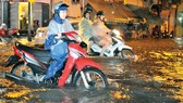 HCMC seeks anti-flooding solutions from foreign experts