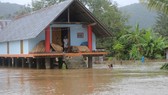Đắk Lắk bị thiệt hại nặng do hoàn lưu bão số 6