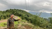 Vụ cấp sai 65 sổ đỏ ở Đắk Nông: Nguyên lãnh đạo huyện hợp thức hóa đất rừng cho vợ làm cây xăng