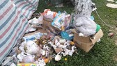 Đà Nẵng: Công viên 29 tháng 3 ngập rác sau tết