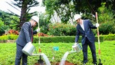 Gia Lai tiếp nhận 24 cây hoa anh đào do Nhật Bản trao tặng