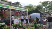 Khai mạc Hội chợ Nông nghiệp Hòa Vang 2020