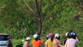 Không cho khỉ ăn để bảo vệ đàn khỉ trên bán đảo Sơn Trà