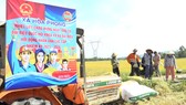 Nông dân xã Hòa Phong tuyên truyền bầu cử trên đồng ruộng