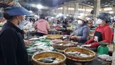 Dự kiến, mỗi ngày yêu cầu chỉ 30% số lượng tiểu thương buôn bán cá đến Cảng cá Thọ Quang lấy hàng