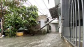Nhiều nơi ở TP Đà Nẵng ngập lụt sâu do mưa lớn liên tục