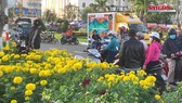 Chợ hoa Đà Nẵng ngày cận Tết: giá tăng nhẹ, tấp nập bán mua