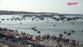 Chợ cá Phan Thiết - phiên chợ làng chài
