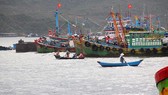 Chấm dứt tình trạng tàu cá Việt Nam vi phạm quy định đánh bắt thủy sản