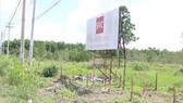 Đảm bảo tiêu thoát nước khu vực quy hoạch Khu đô thị và khu tái định cư Sing Việt