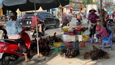 Gia cầm bán trên lề đường Phạm Hùng (giáp ranh  giữa quận 8 và  huyện Bình Chánh). Ảnh: CAO THĂNG