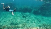 Du khách trải nghiệm tour lặn ngắm san hô ở biển Phú Quý. Ảnh: L.C.