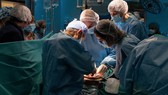 Một ca phẫu thuật ghép tạng tại Tây Ban Nha