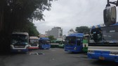 Hơn chục chiếc xe buýt nằm bãi tại HTX Quyết Thắng