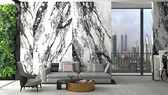 Viglacera mua lại nhà máy Bạch Mã