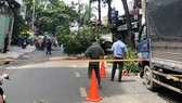 Nhân viên Công ty TNHH MTV Cây xanh TPHCM cắt tỉa cây trên đường Nguyễn Đình Chiểu (quận 3, TPHCM)