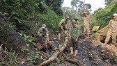 Tổ bảo vệ rừng kiểm tra một lán trại và máy móc bị phá hủy trước đó