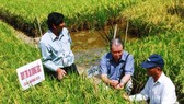 GS-TS Võ Tòng Xuân (ngồi giữa)