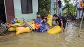 Nước lụt lên nhanh bất ngờ làm hư hỏng hơn 4 tạ lúa của một hộ dân thôn Đàn Long (xã Tam Đàn, huyện Phú Ninh) là khu vực gần dự án khu phố chợ Chiên Đàn vào đợt cuối tháng 10-2021. Ảnh: NGUYỄN CƯỜNG