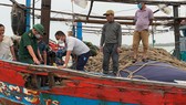 Lực lượng Biên phòng cùng người dân kiểm tra vị trí tàu cá bị hư hỏng