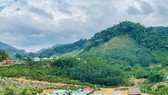 Một huyện miền núi tỉnh Quảng Nam xin tiếp nhận dự án điện gió công suất 500 MW