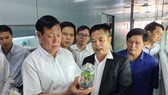 Quảng Nam sắp hình thành Trung tâm Công nghiệp dược liệu