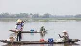 Mưu sinh vùng càng mùa nước nổi