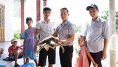 Ban quản lý Khu bảo tồn biển đảo Cồn Cỏ tiếp nhận cá thể vích từ người dân.