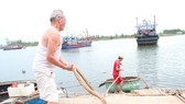 Ngư dân gia cố, neo đậu tàu thuyền để đảm bảo an toàn trong mưa bão