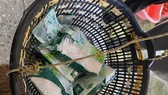 Các tinh thể màu trắng nghi là ma túy đựng trong các gói như gói trà.