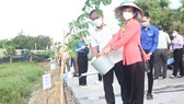 Huyện Bình Chánh phát động Tết trồng cây