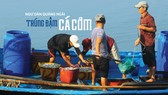 Ngư dân Quảng Ngãi trúng đậm cá cơm
