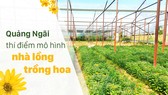 Quảng Ngãi thí điểm mô hình nhà lồng trồng hoa