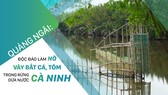 Quảng Ngãi: Độc đáo làm nò vây bắt cá, tôm trong rừng dừa nước Cà Ninh