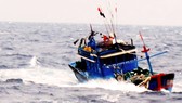 Tàu cá chở 8 cán bộ Viện Hải dương học và 4 ngư dân bị kẹt trong vùng nước xoáy
