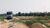 Chủ cho vay nặng lãi “vây” ruộng dưa của nông dân Bình Định để đòi nợ