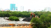 Thu hồi quyết định cho thuê đất, giao đất của Công ty CP Thị Nại Eco Bay
