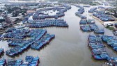 Bình Định đề nghị Bộ Công an điều tra đường dây “cò” môi giới đánh cá trái phép