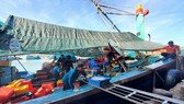Ngư dân bị chèn ép, “chặt chém” giá dầu: Cục Quản lý thị trường than khó quản lý ở cửa biển