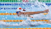 Tường thuật các môn thi đấu sáng 4-12: Ánh Viên, Huy Hoàng tranh tài chung kết bơi