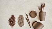 Nhựa sinh học cà phê đầu tiên Việt Nam đánh dấu bước phát triển của ngành vật liệu sinh học bảo vệ môi trường
