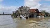 Gần 17.000 ngôi nhà ở Quảng Nam vẫn còn ngập trong nước