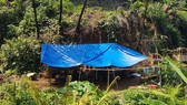 Lán trại một điểm khai thác vàng trên địa bàn huyện Phước Sơn. Ảnh: CQĐT
