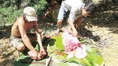 Ngay sau khi Báo SGGP phản ánh thịt rừng "tắm" hóa chất, kiểm lâm Quảng Bình đã nhanh chóng vào cuộc kiềm tỏa săn bắn ĐVR trái phép.