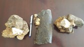 3 mẫu hóa thạch tê giác vừa phát hiện ở bản Yên Hợp, Thượng Hóa, Minh Hóa, Quảng Bình. Ảnh: VQG PN-KN cung cấp