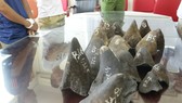 Sừng tê giác bị thu giữ trong một vụ án
