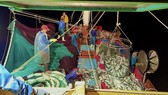Tàu cá của ngư dân Phạm Tuyển trúng 250 tấn cá nục