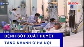 Bệnh sốt xuất huyết tăng nhanh ở Hà Nội