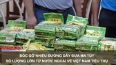 Bóc gỡ nhiều đường dây đưa ma túy số lượng lớn từ nước ngoài về Việt Nam tiêu thụ